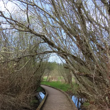 North Creek Park (04-05-2025)