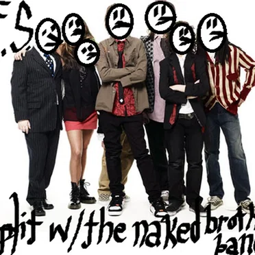 Split With The Naked Brothers Band by Seagulls Fucking Seagulls - album cover