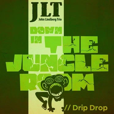 Down in the Jungle Room by John Lindberg Trio - album cover