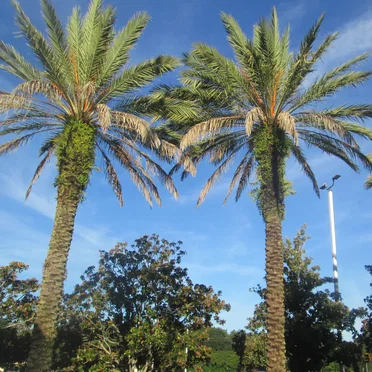Hotel in Orlando in the Morning