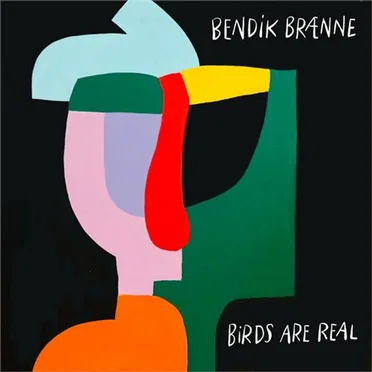Birds Are Real