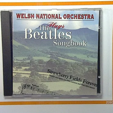 Plays The Beatles Songbook by Welsh National Orchestra - album cover