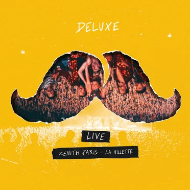Live Au Zénith Paris - La Vilette -