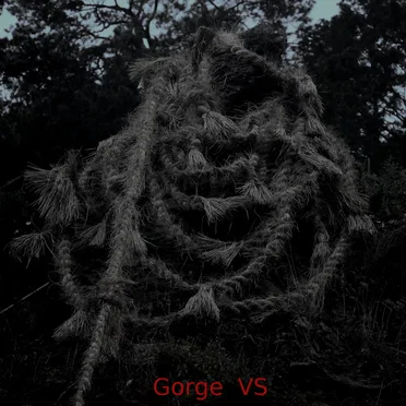 Gorge VS