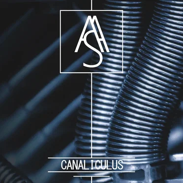 Canaliculus