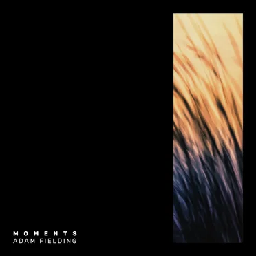 Moments by Adam Fielding - album cover