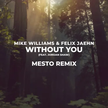 Without You (Mesto remix)
