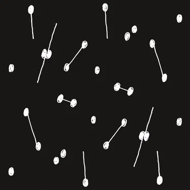 Dance of a Trillion Stars