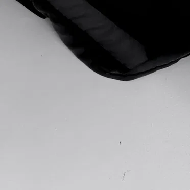 NOISES