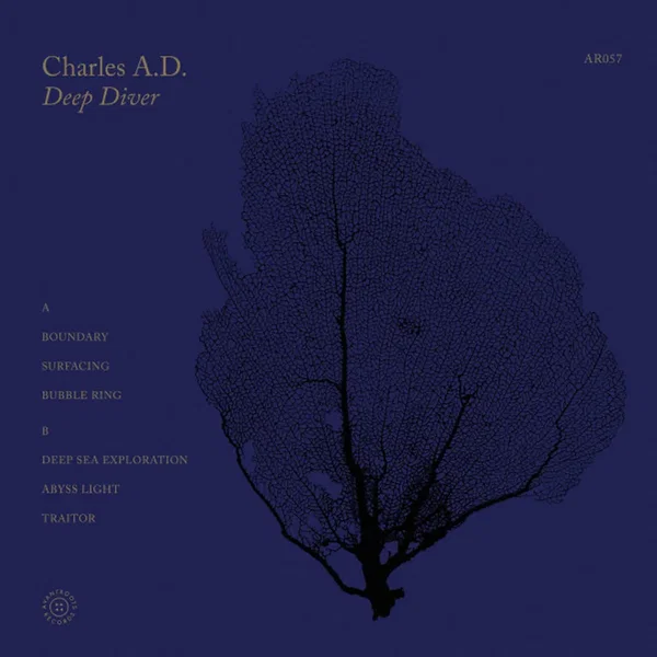 Deep Diver