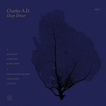 Deep Diver