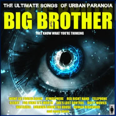 Big Brother by Various Artists - album cover