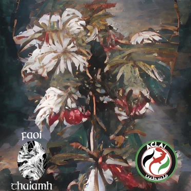 Faoi Thalamh x ACLAÍ Palestine by Various Artists - album cover