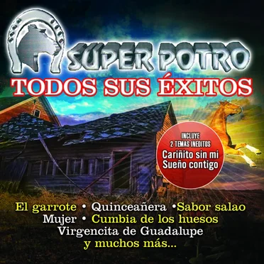 Todos sus éxitos by Super Potro - album cover