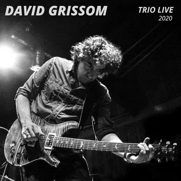 Trio Live 2020 by David Grissom - album cover