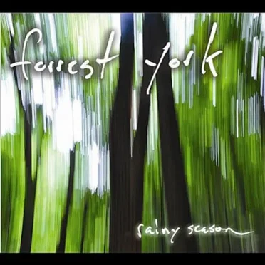 Rainy Season by Forrest York - album cover