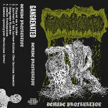 Demise Profanation