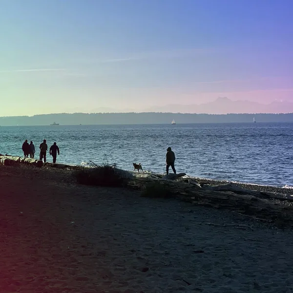 Winter Ambient Sessions 2022