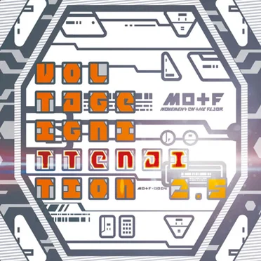 Voltage IgniTTENAItion 2.5 by Various Artists - album cover