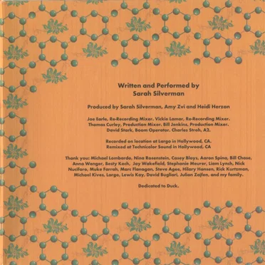 We Are Miracles by Sarah Silverman - album cover