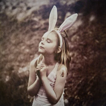 El libro de los árboles mágicos