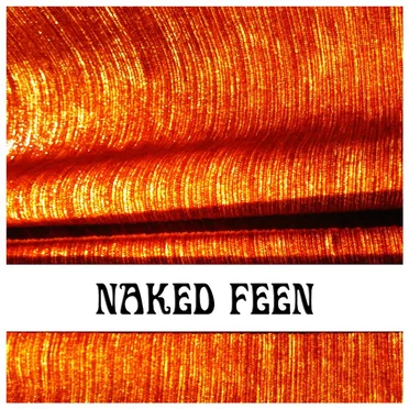 Orange by Naked Feen - album cover