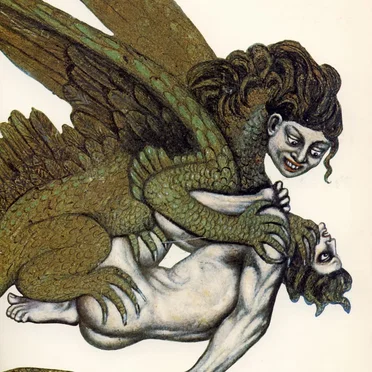 Vulture Dreams by The House of the Hidden Light - album cover