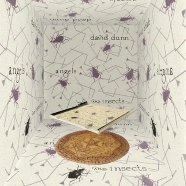 Angels and Insects by David Dunn - album cover