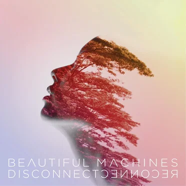 Disconnect : : Reconnect by Beautiful Machines - album cover