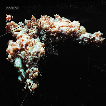 ISSXI.VII | EP7 by Various Artists - album cover