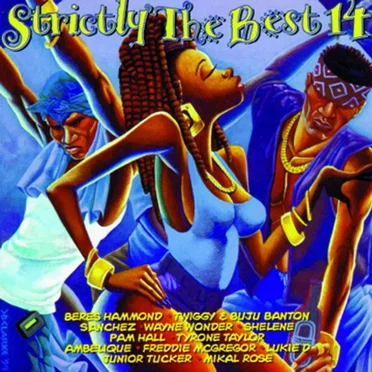 Strictly the Best 14 by Various Artists - album cover