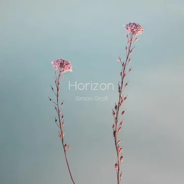 Horizon
