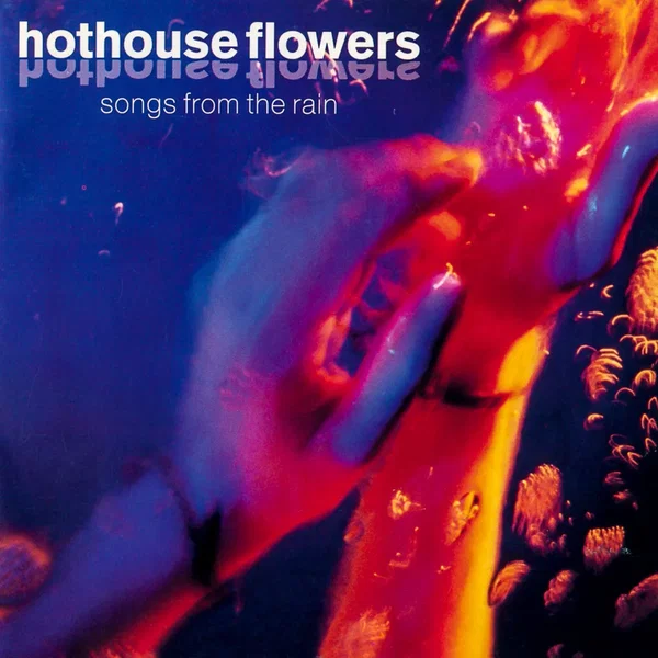 Songs From the Rain