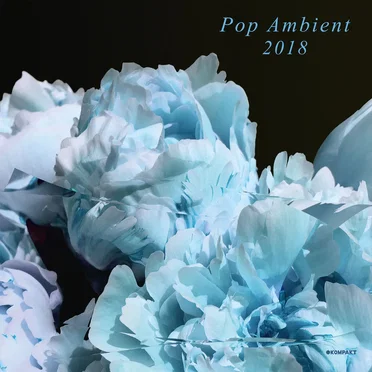Pop Ambient 2018 by Various Artists - album cover