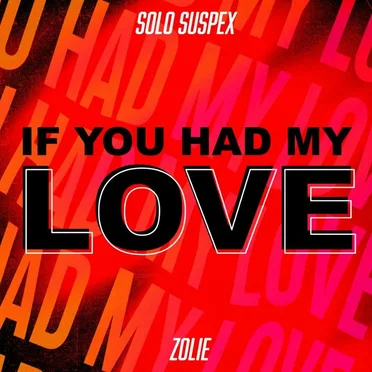 If You Had My Love