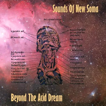Beyond the Acid Dream