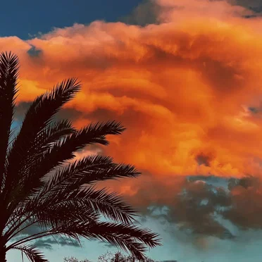 For What It’s Worth