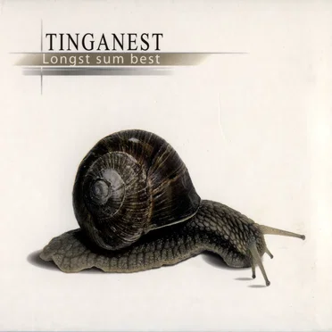 Longst sum best