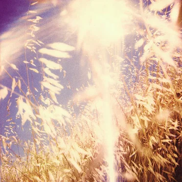 The Range of Light Wilderness by The Range of Light Wilderness - album cover