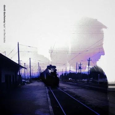 Layin' on the Tracks by David Duchovny - album cover