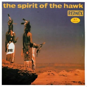 The Spirit of the Hawk