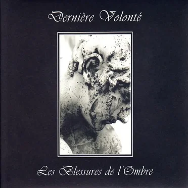 Les Blessures de l’ombre