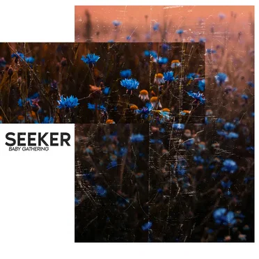 SEEKER