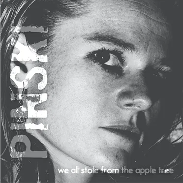 We All Stole From the Apple Tree by Pinski - album cover