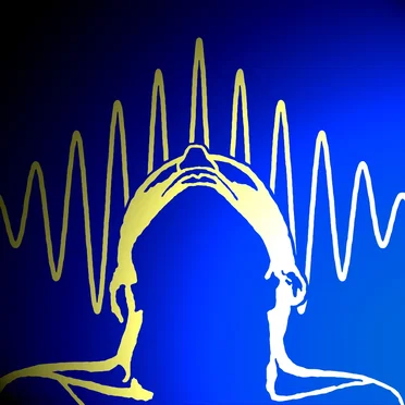 The Collapse of the Wave Function, Volume 5: The Transactional Interpretation