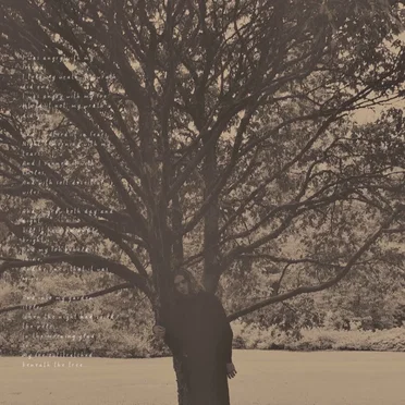 A Poison Tree