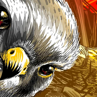 Terrorvögel by Monika Geier - album cover