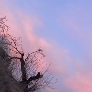 Kali's Return