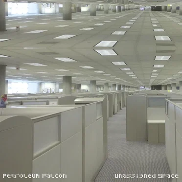 Unassigned Space by Petroleum Falcon - album cover