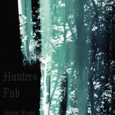 Ancient Woods. Drunken Hags. by Hunters Pub - album cover